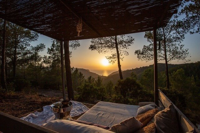 كيفية اختيار تراجع الصحة العقلية المناسبة لميزانيتك واحتياجاتك