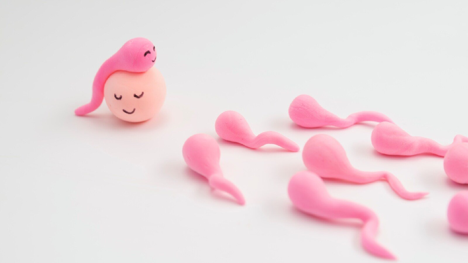 7 خرافات جنسية كشفها أخصائي الخصوبة للأزواج