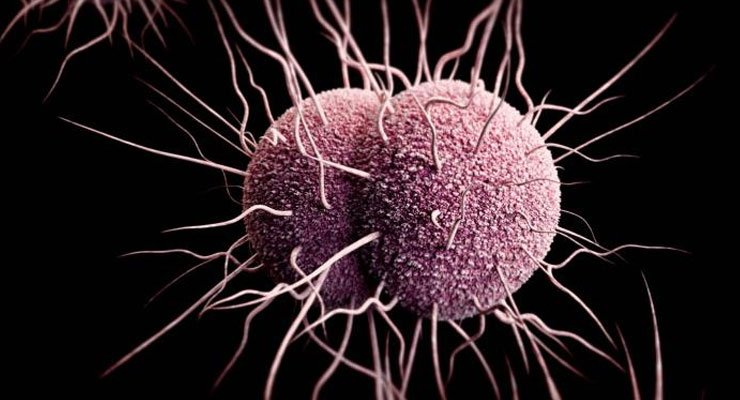 هناك نوعان من الأدوية الجديدة لعلاج السيلان