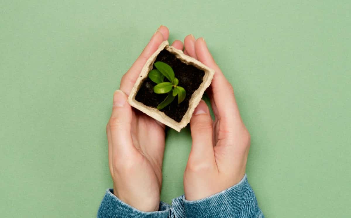 تأثير البستنة الملحوظ على الصحة والسعادة