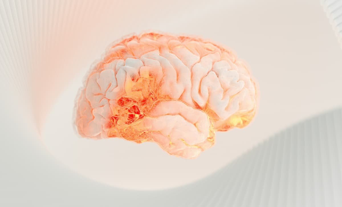 هذه هي أنواع الأنشطة التي تحمي الدماغ من الشيخوخة